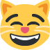 :catgrin:
