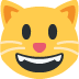 :catsmile: