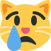 :catsad: